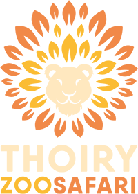 Thoiry - Zoo Safari